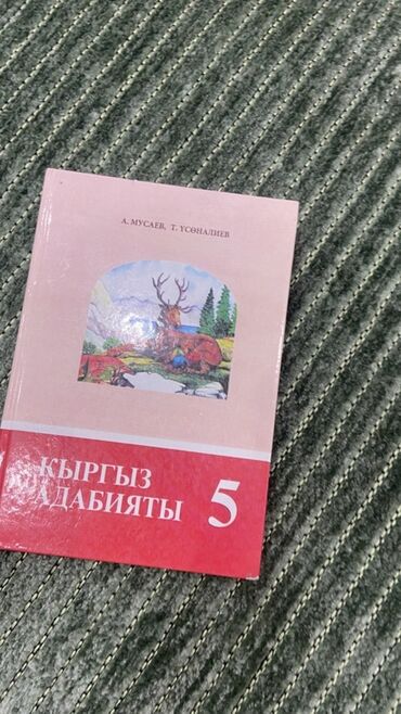 Кыргызский язык и литература: Кыргызская литература, 5 класс