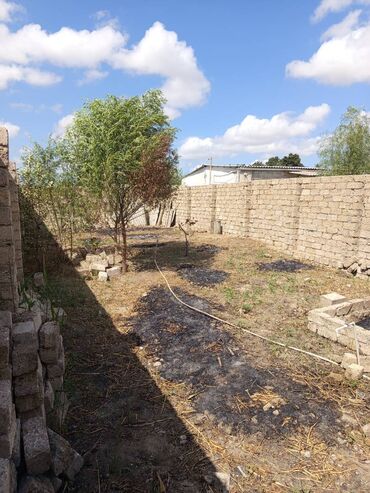 balaxanıda ucuz torpaq 2020: Torpag Suraxanıda emircan da yerləşir.4 tərəfi hündür zabor.bahali
