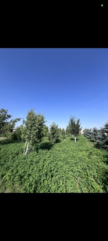 купить домик из сэндвич панелей: Дача, 140 кв. м, 4 бөлмө, Кыймылсыз мүлк агенттиги, Евро оңдоо