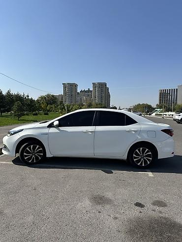 Toyota: Toyota Corolla: 2019 г., 1.8 л, Вариатор, Гибрид, Седан — 4