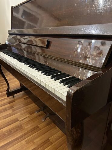 Sintezatorlar: Piano, Akustik