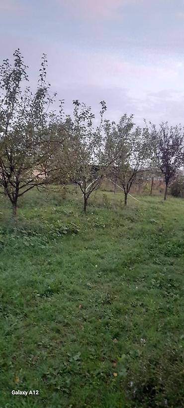 qubada torpaq sahesi satilir: 6 sot, Tikinti, Mülkiyyətçi, Kupça (Çıxarış) — 6