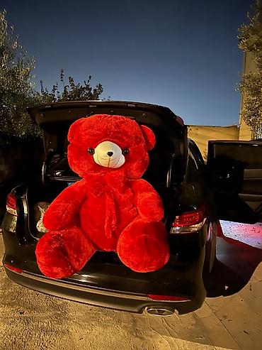 pultlu masin boyuk: Böyük ölçülü plyuş oyuncaq ayılar Yeni gunewlide gul salonu baglanib — 3