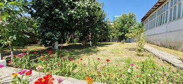 Torpaq sahələrinin satışı: 12 sot, Tikinti, Makler, Kupça (Çıxarış) — 8