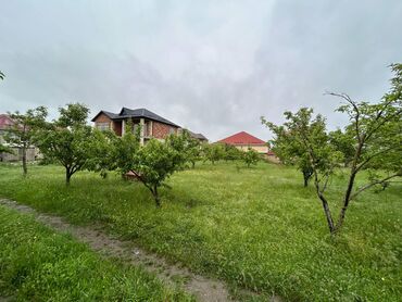 Torpaq sahələrinin satışı: 5 sot, Mülkiyyətçi, Kupça (Çıxarış)