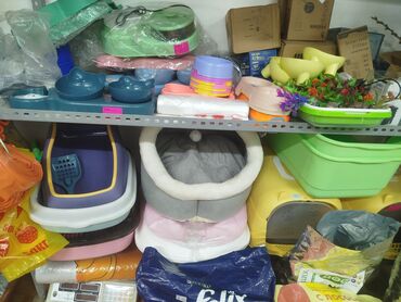 Аквариумы: Предлагается набор маленьких красноухих черепах. Эти черепахи отлично — 13