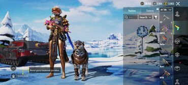 Digər: PUBG Mobile hesabı – zəngin kosmetik kolleksiya - X-Suit — 16