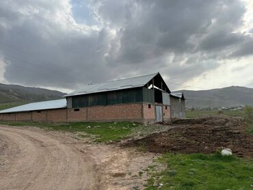 Сельхоз предприятия: Продаю Кошара, 7 соток, Действующий, Электричество — 2