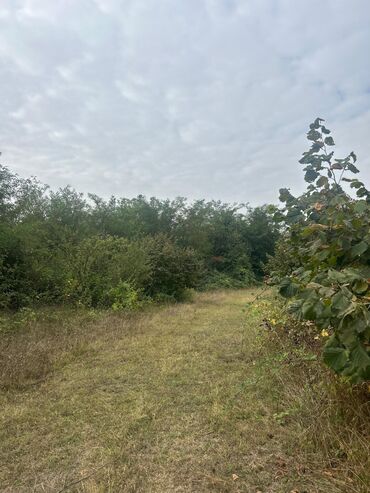 Torpaq sahələrinin satışı: 110 sot, Tikinti — 4