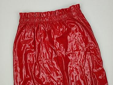 Bebe, Women`s skirt, size L