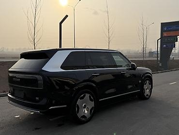 Zeekr: Zeekr 9X: 2 л | 2025 г. Внедорожник — 10