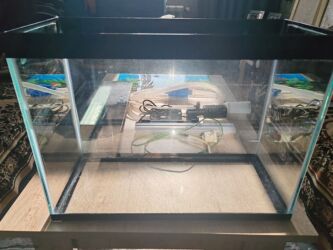 Akvariumlar: Dördbucaq akvarium, Balıqlarla birlikdə, 30 l, Pulsuz çatdırılma — 3