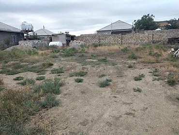 Həyət evləri və villalar: Müşfiqabad 5 otaqlı, 180 kv. m, Kredit yoxdur, Orta təmir — 4