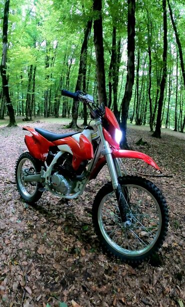 motosiklet moped: Kayo - K1 250 MX, 250 sm3, 2019 il, 95 km