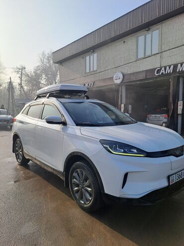 Weltmeister: Weltmeister EX5, 2021 г., 74478 км — 1