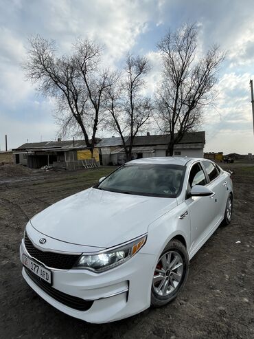 чолпон ата машина: Kia Optima: 2017 г., 2.4 л, Автомат, Бензин, Седан