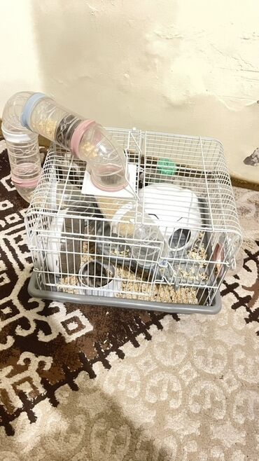 İtlər: Hamster üçün tam avadanlıqlı qəfəs seti - Metal torlu, plastik
