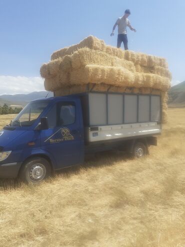 корзина на спринтер тди: Легкий грузовик, Mercedes-Benz, Стандарт
