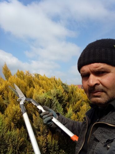 Bağbanlar: Profesional bağban xidməti ağac və kolların əkilməsi budanması -da lalafo.az — 14 Bağbanlar: Profesional bağban xidməti ağac və kolların əkilməsi budanması — 14