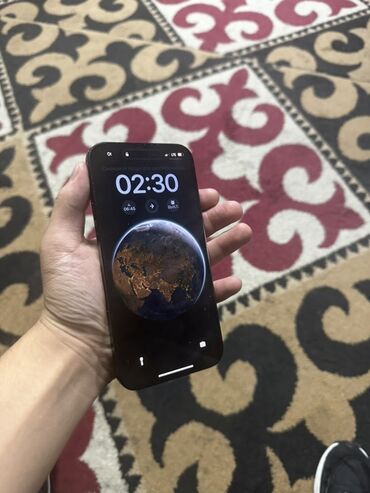 телефон каракол: IPhone 14 Pro, Графит