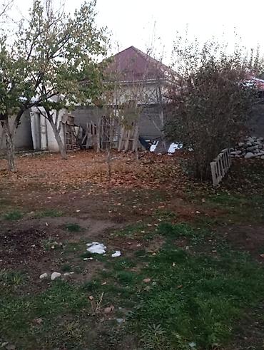 Продажа коттеджей и домов: Продаётся одноэтажный жилой дом с ухоженным участком. Основные — 3