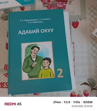 языки: Комплект школьных учебников для 2 класса (кыргызский язык обучения) — 1