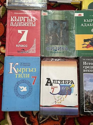 ролер: Школьные учебники для 6–9 классов (разные предметы) Состав подборки — 4