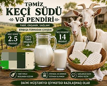 mavi yumurta: Keci sudu ve pendiri — 1