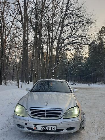 c 220: Mercedes-Benz 220: 2000 г., 5 л, Автомат, Бензин, Седан — 4