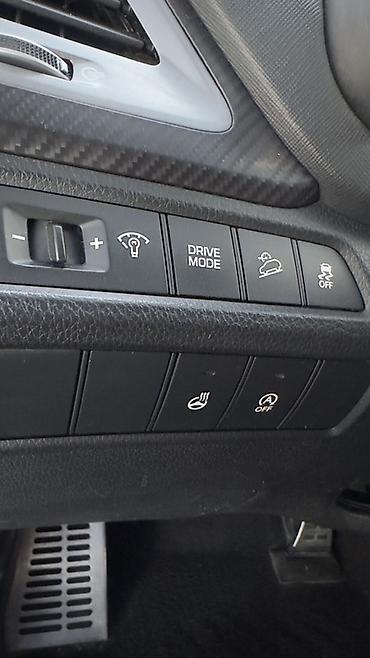 aion q05: Hyundai Santa Fe: 2016 г., 2 л, Автомат, Дизель, Кроссовер — 10