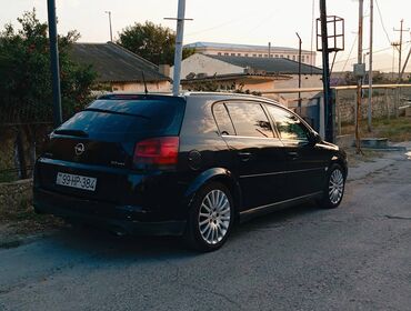 Opel: Opel Signum: 2.2 l | 2005 il Hetçbek