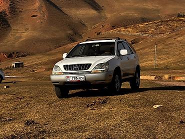 Lexus: Lexus RX: 2001 г., 3 л, Автомат, Бензин, Кроссовер — 2