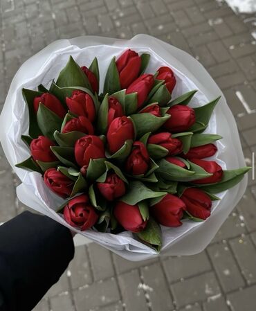 продаю букет цветов: Весенняя любовь 😻 


Цена за букет из 25 тюльпанов: 2500 сомов