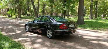 амартизаторы: Mercedes-Benz E-Class: 2003 г., 3.2 л, Автомат, Дизель, Седан