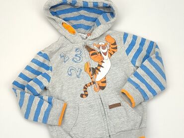 sweterek niemowlęcy 74: Sweatshirt, Disney, 3-4 years, 98-104 cm, condition - Satisfying