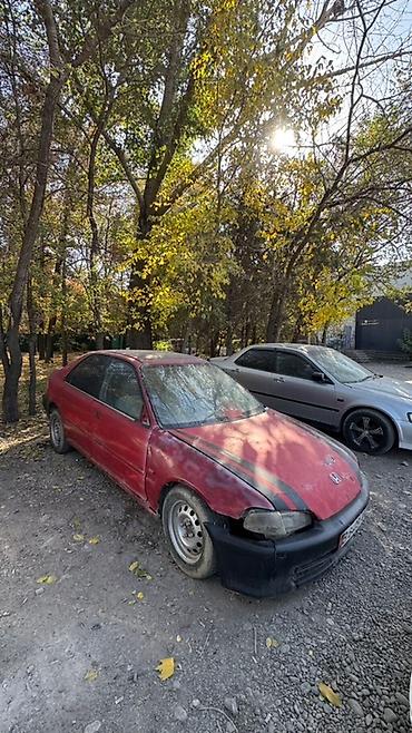 Другие детали кузова: Honda Civic 1993 г. — авто на разбор. Любые запчасти. Доступно по — 3