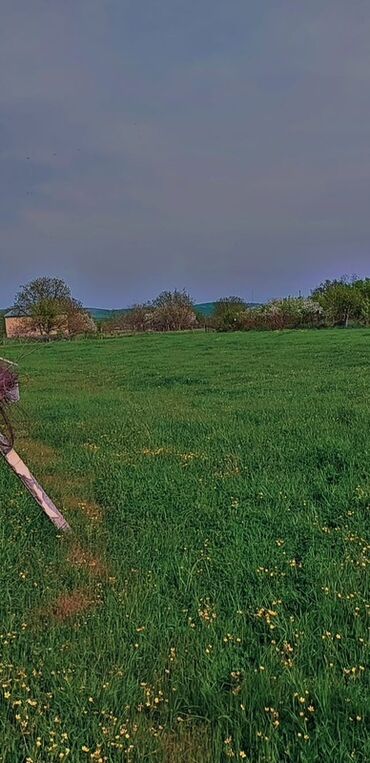 Torpaq sahələrinin satışı: 10 sot, Tikinti, Mülkiyyətçi, Bələdiyyə — 6