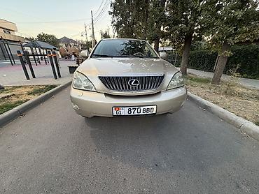 ерекс 330: Lexus RX: 2004 г., 3.3 л, Автомат, Бензин, Кроссовер — 2