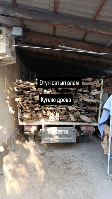речной форель: Отун