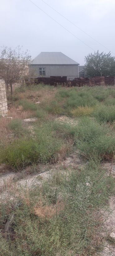 Torpaq sahələrinin satışı: 8 sot, Mülkiyyətçi, Bələdiyyə — 9