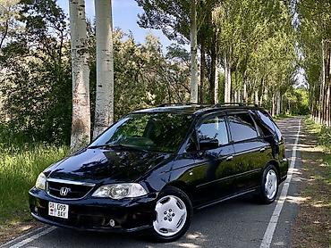devo matiz: Honda Odyssey: 2002 г., 2.3 л, Автомат, Бензин, Универсал — 3