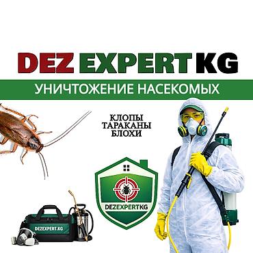 генератор без: Дезинфекция, дезинсекция, | Блохи, Муравьи, Вирусы, микробы, | Офисы, Дома, Квартиры — 1