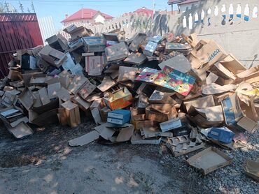 отдам даром щенка: Бесплатно коробки-макулатура надо вывезти- район Киргизия 1