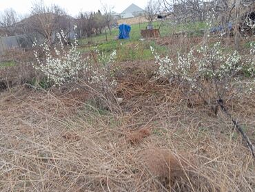 Həyət evləri və villaların satışı: 3 otaqlı, 72 kv. m, Orta təmir — 15