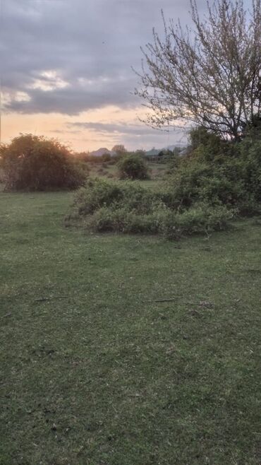 tap.az xacmaz: 24 sot, Biznes üçün, Barter mümkündür, Kupça (Çıxarış)