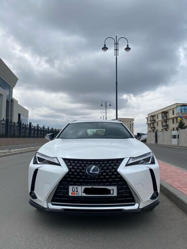 светодиодная рука в машину: Lexus : 2020 г., 2 л, Автомат, Гибрид, Кроссовер