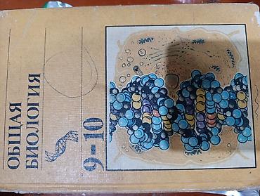 Русский язык и литература: Русская литература, 5 класс, Б/у, Самовывоз — 4