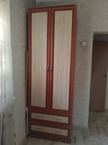 ариель 6 кг цена бишкек: Кийим салуучу шкаф, Колдонулган, Түз, Жыгач
