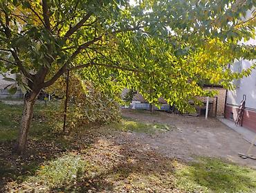 Продажа коттеджей и домов: Продается или сдается на длительный срок благоустроенный 2-х этажный — 4