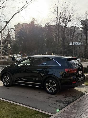 Kia: Kia Sorento: 2018 г., 2 л, Автомат, Дизель, Кроссовер — 3